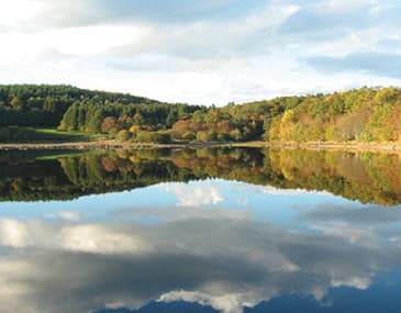Parc Naturel du Morvan